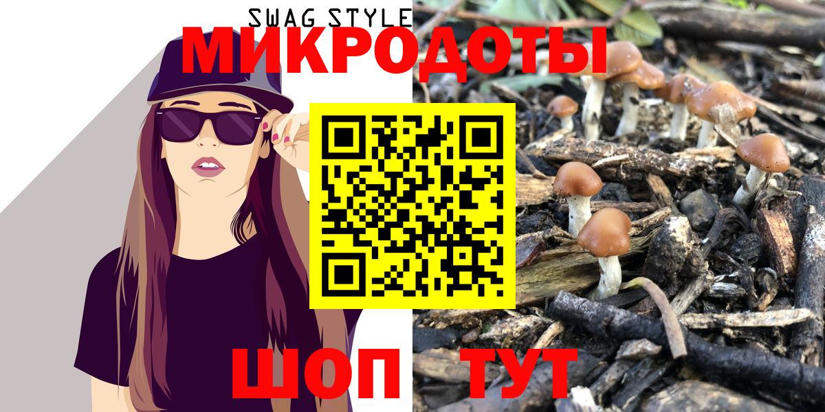 Галлюциногенные грибы Psilocybe  Вход с VPN  Долгопрудный 